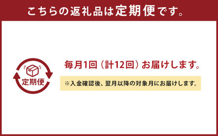 【12回定期便】 毎月届く 罪のない ブルーベリー ジャム 約420g × 12回 定期便