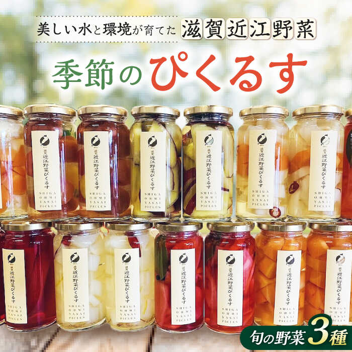 【ふるさと納税】滋賀近江ぴくるす 季節の3種セット※北海道・沖縄・離島への配送不可