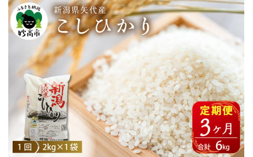 【2025年5月上旬発送】【定期便】新潟県矢代産コシヒカリ2kg×3回（計6kg）