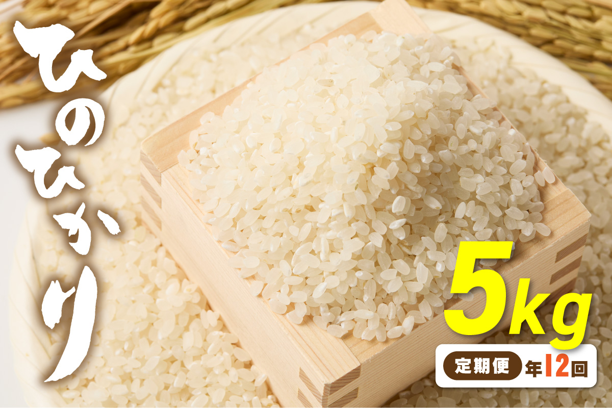 令和7年産 【定期便/年12回】「ひのひかり」5kg【ほたるの里】_HB0197