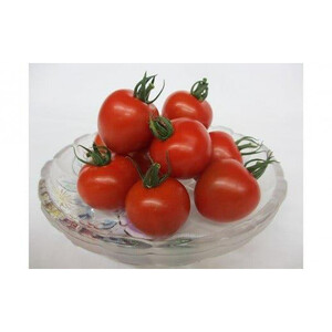 1013.【先行予約】【ＪＡ】ナンチューうまいトマト（中玉トマト）　A・250ｇ×8袋　※着日指定不可　※離島への配送不可　※2026年9月上旬頃～10月末頃に順次発送予定
