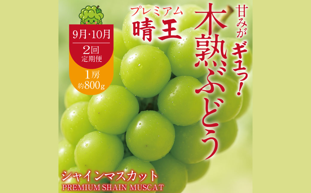 最高峰プレミアム 木熟ぶどう ハレノシャイン シャインマスカット晴王