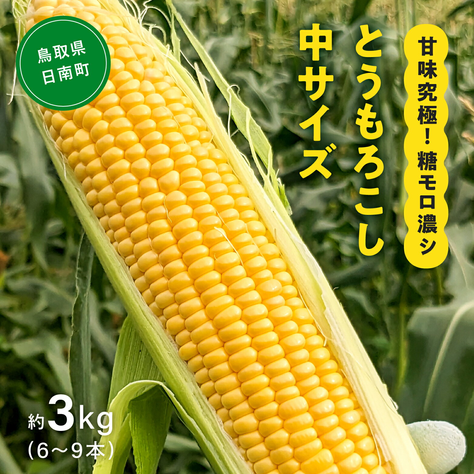 【ふるさと納税】甘味究極！ 糖モロ濃シ 中サイズ 3kg(6～9本)【とうもろこし】朝どれ直送 スイートコーン 産地直送 【配送不可地域：離島】 鳥取県日南町 星の農園