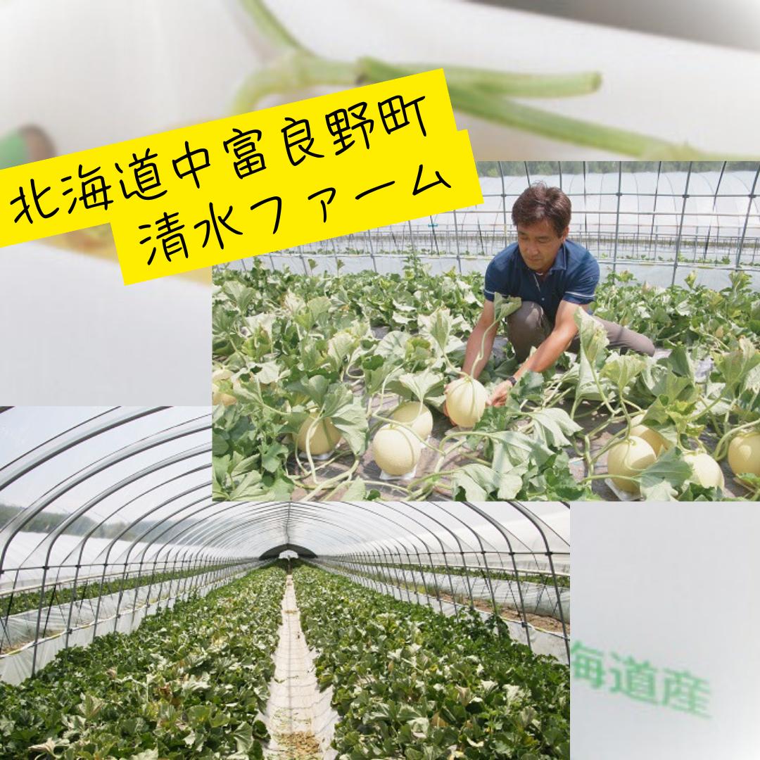 【2026年発送】中富良野産赤肉メロン2玉　計3.2kg