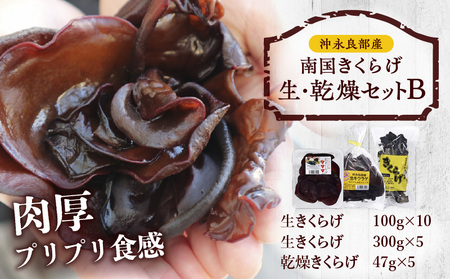 南国 きくらげ 生 ・ 乾燥 セットB C070-003 キクラゲ 有機成分 ミネラル 歯ごたえ 肉厚 バガス 野菜 やさい 沖永良部産 沖永良部 生きくらげ 生キクラゲ 乾燥きくらげ 料理 中華炒め
