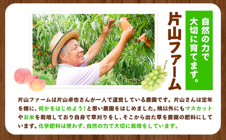 訳あり 清水白桃 約4kg 桃