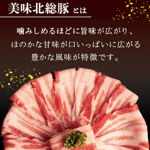 千葉県産豚肉3種計900g セット 詰合せ 豚肉