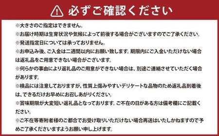 男爵いも 約20kg  野菜 芋 いも じゃがいも ジャガイモ ポテト 男爵 北海道 浦臼町  【2026年9月上旬～2026年9月下旬発送予定】