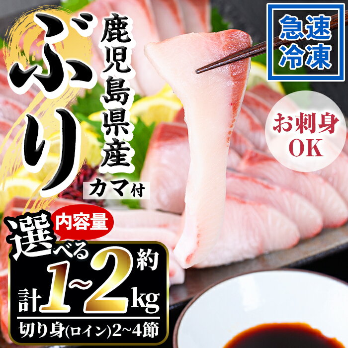 【ふるさと納税】《先行予約受付中！》＜内容量が選べる！＞鹿児島県産！冷凍ぶり(ロイン2~4節入・計1~2kg前後/カマ付) 国産 九州産 鹿児島産 魚 鰤 ブリ ぶり ハマチ はまち 刺身 海鮮丼 漬け丼 ブリ大根 ぶりしゃぶ しゃぶしゃぶ 鍋 カマ ロイン 切身 冷凍【全栄フーズ】