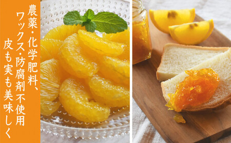 【先行予約 ５月出荷】 おわせの雨夏（あまなつ）  10kg　無農薬 ワックス・防腐剤不使用 木成り 完熟 甘夏  ギフト 贈答 日用 でも使える 三重 尾鷲 の 柑橘 特産品  TK-17