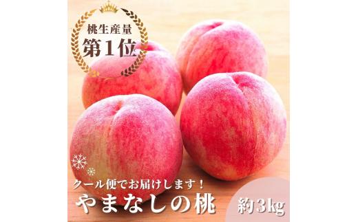 【2026年発送★先行予約】山梨県産桃　約3.0kg　クール便対応 136-010-26y
