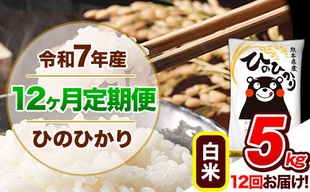 【12ヶ月定期便】 令和7年産 定期便 ひのひかり白米 5kg 《お申込み翌月から出荷》熊本県産 ｜人気米 熊本県産米 お米 生活応援米