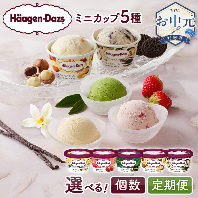 ハーゲンダッツセット