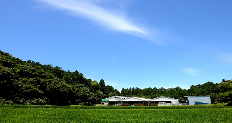【2026年6月以降順次発送】【額改定】【数量に達し次第受付終了】松阪牛すき焼きシルクロース　500g