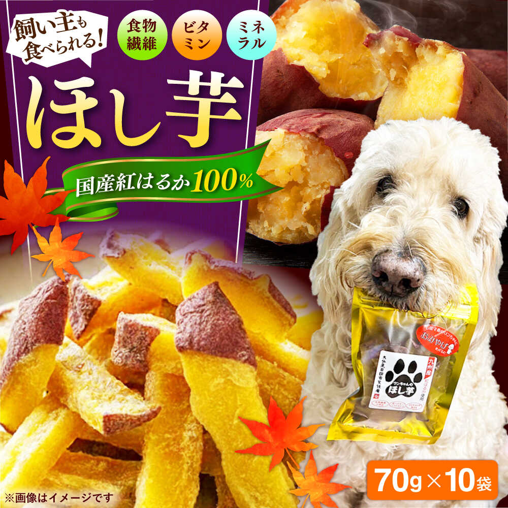 【ふるさと納税】【自然な甘みと歯ごたえ】ワンちゃんの干し芋70g×10袋セット　日田市 / 日本農林産食品製造株式会社 ほしいも 干しいも さつまいも[ARFV006]