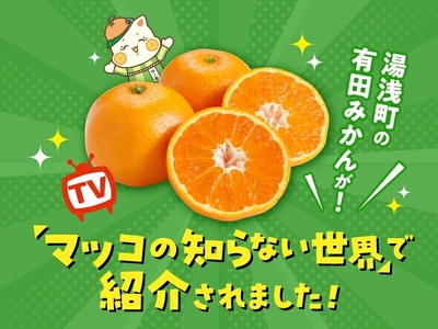MK1047_【2025年先行予約】みかん Sサイズ 秀品 箱込 7.5kg ( 内容量 6.8kg ) 有田みかん 和歌山県産 産地直送 贈答用 【みかんの会】