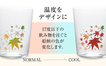温度で変化する器 『冷感 紅葉 薄手 タンブラー』 多治見市 / 丸モ高木陶器 [TBA257]