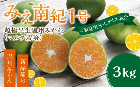みかん みえ紀南１号 たにぐち農園の 超極早生 温州みかん マルチ栽培 3kg ご家庭用 S-L サイズ不揃い【9月下旬頃～順次発送予定】 / 家庭用 ご家庭用 訳アリ わけあり みかん ミカン 蜜柑 柑橘 果物 くだもの フルーツ 極早生みかん 温州みかん 夏みかん【mtn013B】 