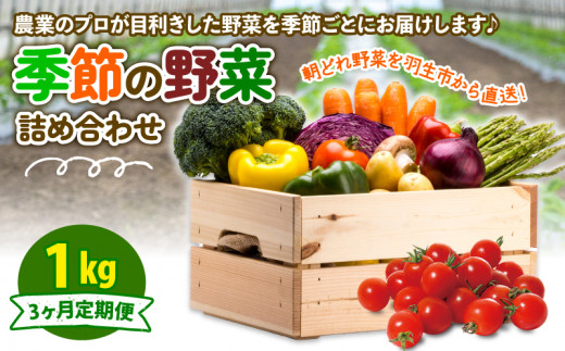 定期便 季節 野菜 詰め合わせ 1kg 3ヶ月 連続お届け 果物 産地直送 朝どれ フルーツトマト ほうれんそう 白菜 キャベツ ブロッコリー そら豆 ヤングコーン とうもろこし 枝豆 ピーマン 唐辛子 パプリカ 水 ナス オクラ キュウリ カリフローレ とれたて  濃厚 ごほうびとまと 株式会社風の子ファーム 埼玉県 羽生市