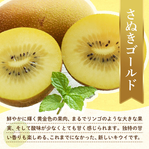 【旬のお届け フルーツ定期便 2回】Kセット さぬきゴールド 約2.7kg キウイっこ 約1.8kg キウイ 旬 フルーツ 果物 国産 香川県 F5J-789