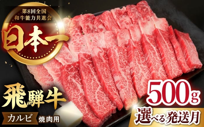 
            【選べる発送月】【 飛騨牛 】カルビ(焼肉用) 500g  肉 飛騨牛 和牛 ブランド牛 高級 国産牛 黒毛和牛 ビーフ 牛 牛肉 焼肉 カルビ やきにく / 多治見市 / 肉のひぐち [TDC001]
          