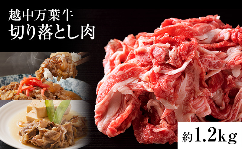 
越中万葉牛切り落とし1.2Kg おすすめ 牛肉 すき焼き ボリューム 冷凍 /天狗乃肉林本店/富山県高岡市[№5616-1571]
