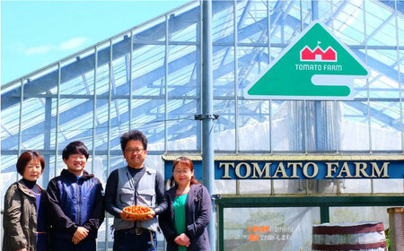 【先行予約・4月以降発送】日田の濃縮トマト 2箱 計1.6kg 日田市 / 有限会社マルカ農園（トマトファーム）[ARAH001]