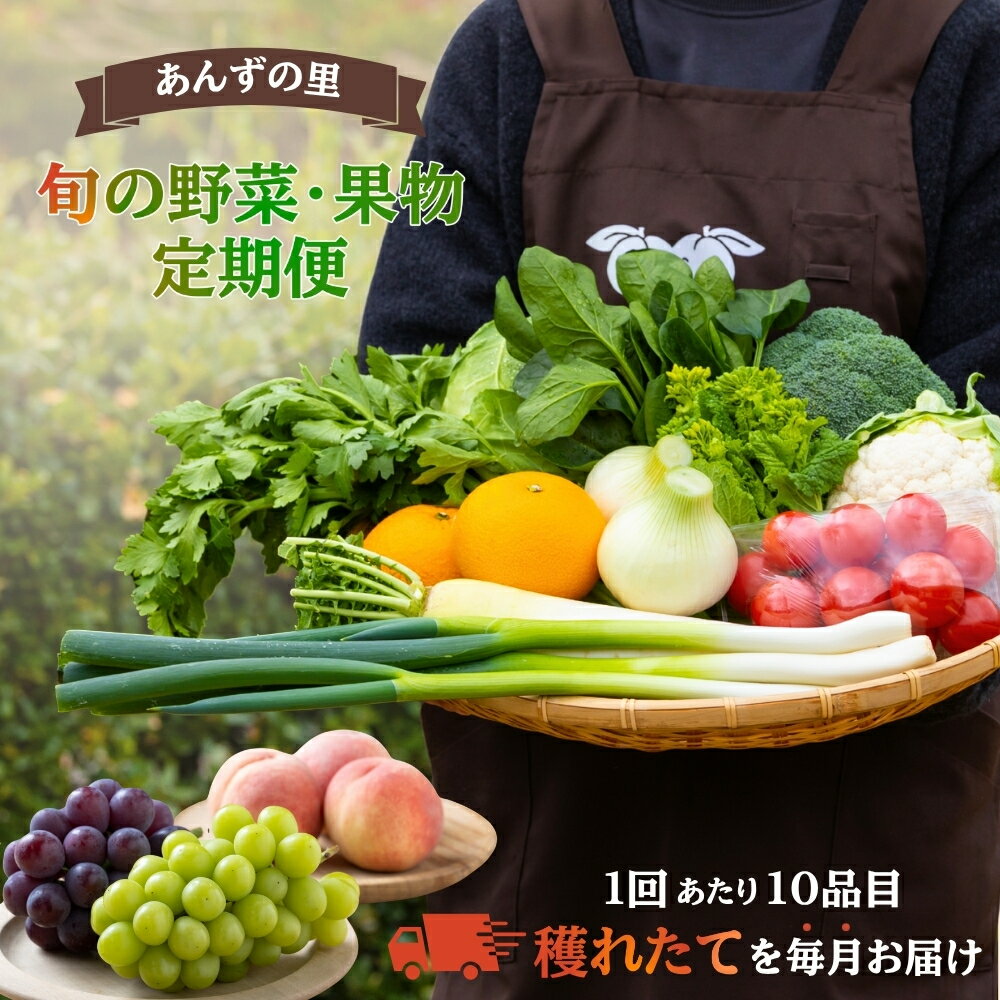 【ふるさと納税】【年12回毎月定期便】穫れたて! 旬の野菜・果物 定期便 冷蔵 あんずの里 10品目×12回 野菜 果物 フルーツ 旬 セット 詰め合わせ 産地直送 福岡県産 福津市産 九州産 国産 送料無料 [Z7010]