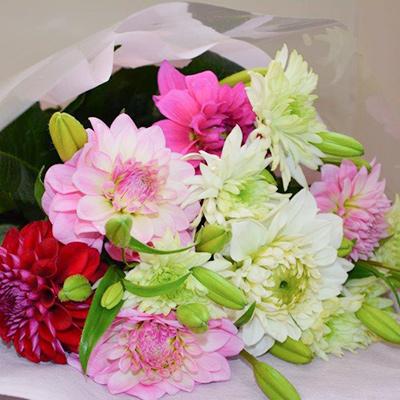 ふるさと納税 太宰府市 三角さんの季節のお花