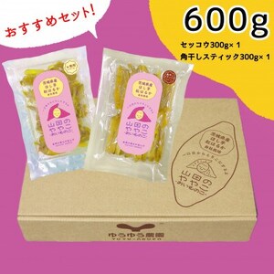 山田のややこ-おいものこ-ほしいもおすすめセット600g【ほしいも スイーツ ダイエット ほしいも 小分け ギフト ほしいも プレゼント 国産 無添加 ほしいも 茨城県産 さつまいも ほしいも サツマ