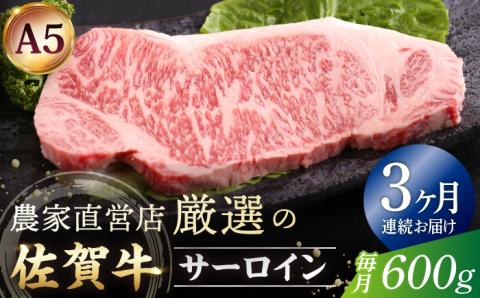 【全3回定期便】佐賀牛 サーロイン ステーキ 600g（300g×2枚）【山下牛舎】 [HAD066]