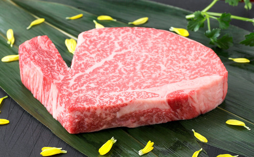 くまもと黒毛和牛 ヒレステーキ 200g 国産 熊本 和牛 牛肉 牛 ヒレ ステーキ 肉 お肉 冷凍