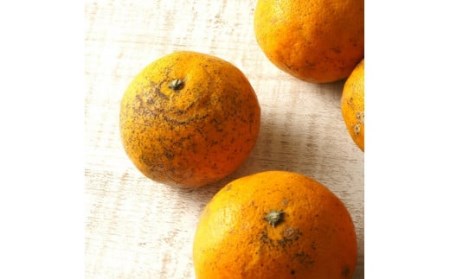 【訳あり】南津海（なつみ）みかん約5kg_2170R