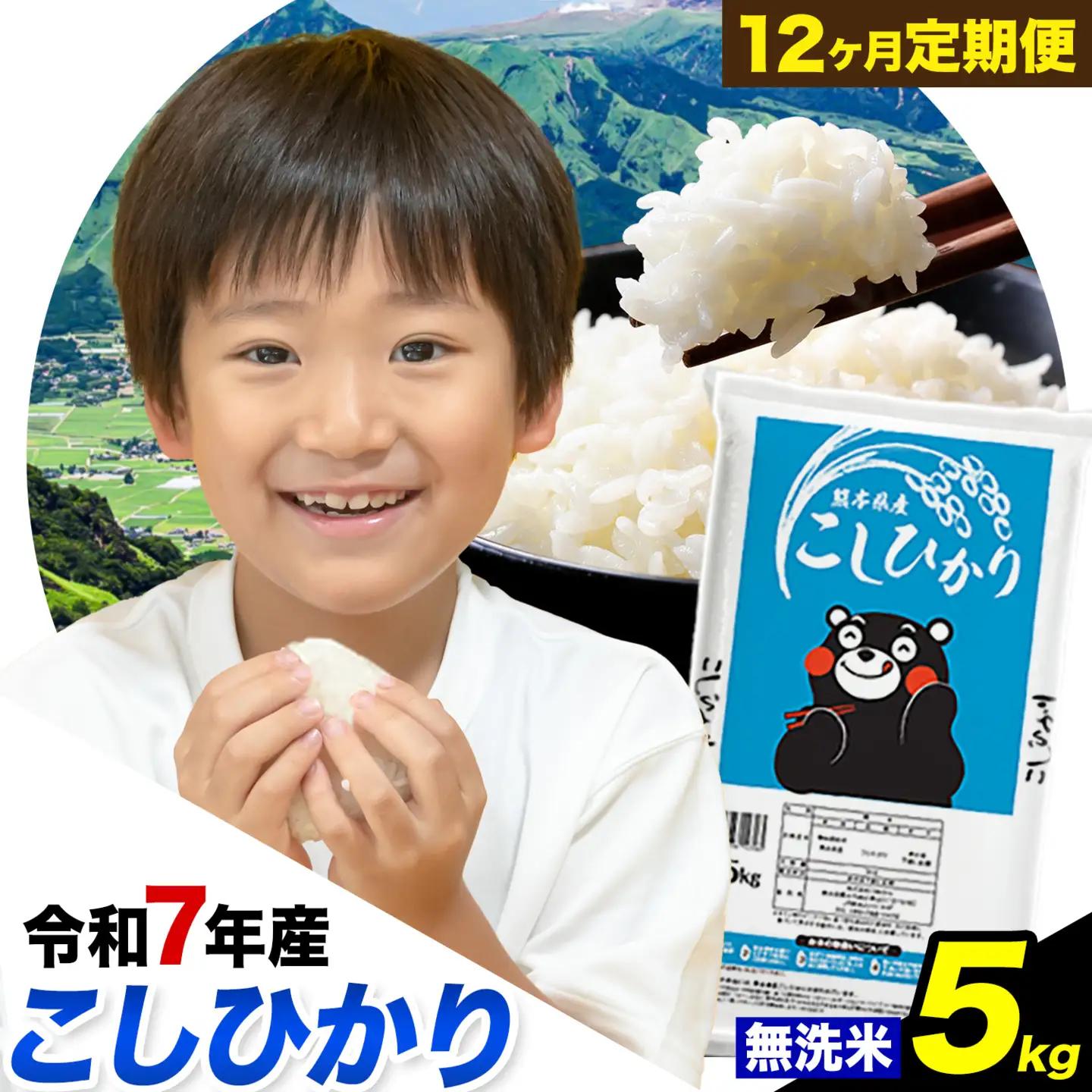 【12ヶ月定期便】令和7年産 定期便 こしひかり 無洗米 定期便 5kg 精米 熊本県産(南阿蘇村産含む)  南阿蘇村《お申込み翌月から出荷》｜人気米 熊本県産米  生活応援米