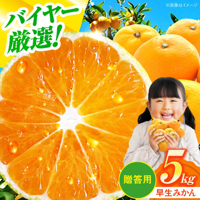 【ふるさと納税】【贈答用】 早生 みかん 5kg 大洲市/有限会社西山青果[AGAR008] 先行予約 みかん ミカン 蜜柑 温州ミカン 温州みかん 果物 くだもの フルーツ 愛媛県産 大洲市産 産地直送 おすすめ 人気 お取り寄せ 送料無料 贈答 ギフト