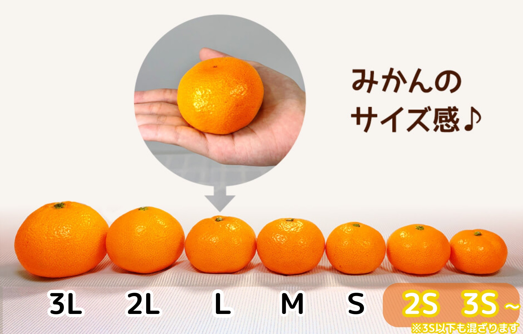 ［先行予約］熟成 みかん とにかく 小玉 箱込7.5kg ( 内容量 6.8kg ) 2Sサイズ以下 秀品 優品 混合 有田みかん 和歌山産 産地直送 家庭用 【みかんの会】