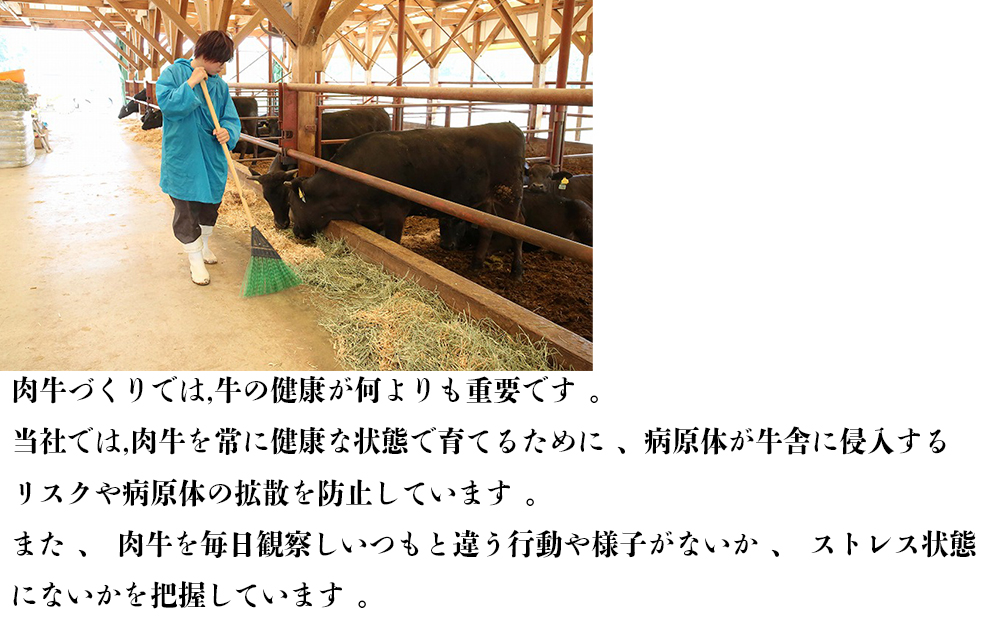 伊勢水沢牛（いせすいざわぎゅう）ロース赤身 すき焼きしゃぶしゃぶ用 1kg 三重畜産【国産牛 牛肉 お肉 肉 ロース 赤身 すき焼き しゃぶしゃぶ 三重県 四日市市】