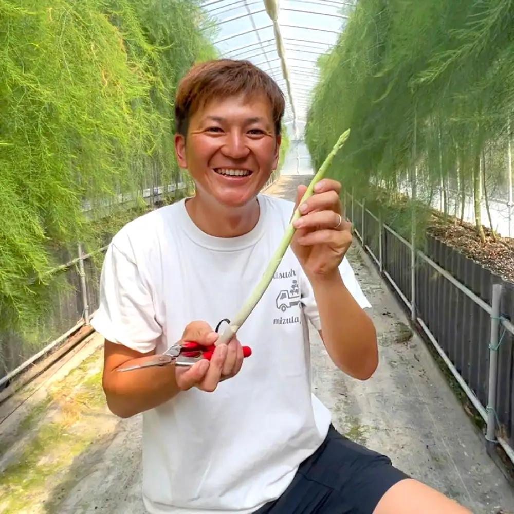 熊本県 八代市産 アスパラガス 500g 新鮮 アスパラ 野菜 やさい 旬