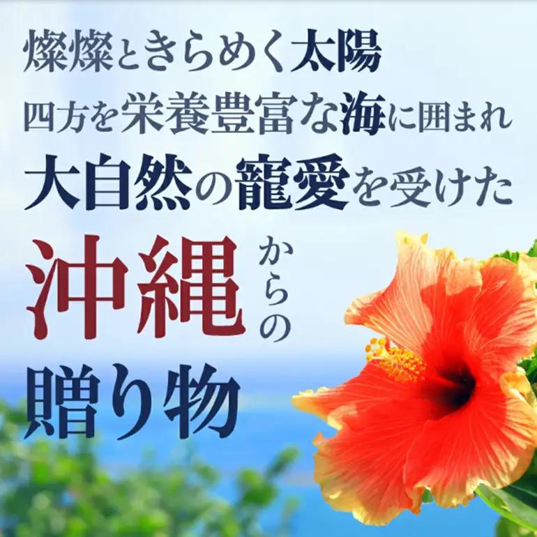 【金秀バイオ】琉球 フコイダンプラス 90粒 10袋 セット 300日分 (約 10ヶ月 分) サプリ サプリメント 鉄分 ビタミン ビタミンC 食物繊維 クエン酸 アミノ酸 沖縄 もずく もろみ酢 