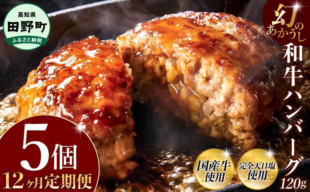 幻のあかうし和牛ハンバーグ 5個入り 12ヶ月定期便 1個120g 田野屋青蜂 白鯆 完全天日塩練り込み 肉 お肉 国産牛 土佐あかうし 四万十ポーク おかず 惣菜 おいしい お取り寄せ 冷凍 配送 高知県 田野町