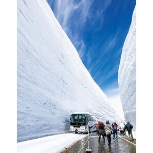 立山黒部アルペンルート　立山駅～室堂(往復)乗車券【1237645】