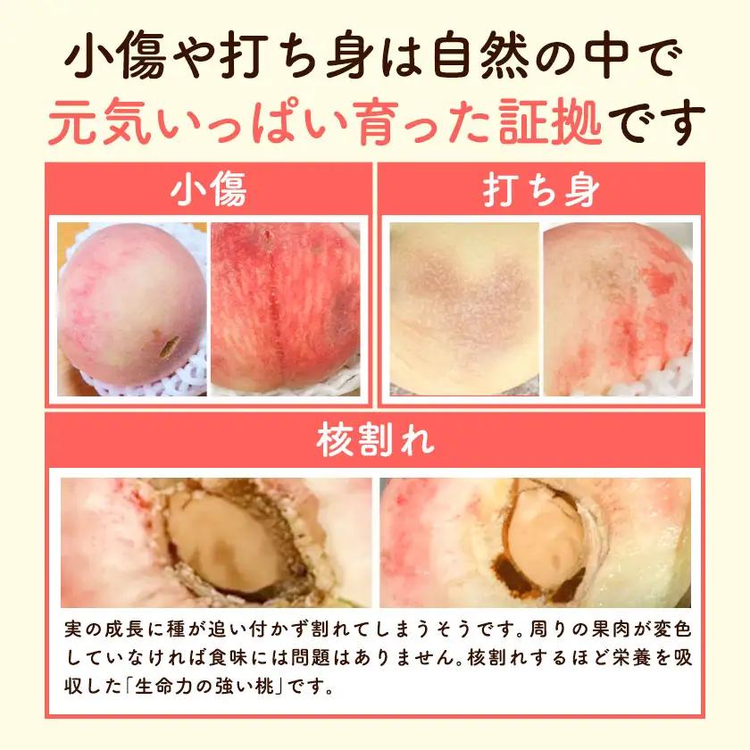 もったいない桃 約2kg【配送不可地域あり】