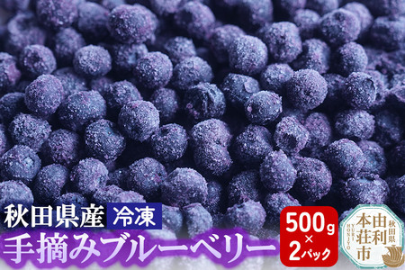 秋田県産 手摘み冷凍ブルーベリー 500g×2パック