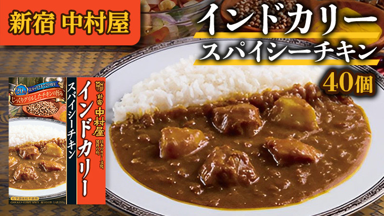 
新宿 中村屋 インドカリー スパイシーチキン 40個 人気 洋食 レトルト 時短 カレー インドカレー スパイシーカレー 長期保存 災害用 保存食
