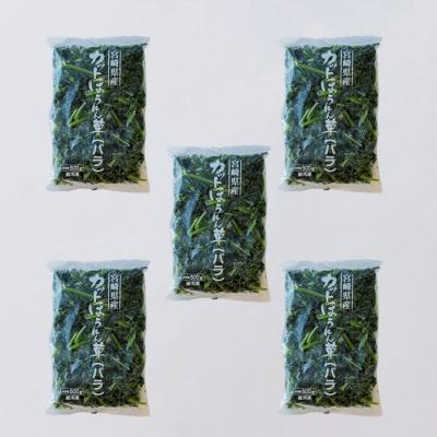 ふるさと納税 高原町 九州産 冷凍ほうれん草2.5kg(500g×5袋)　TF477 |  | 01