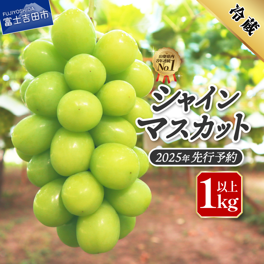 【2025年先行予約】ジューシーで甘さ抜群　厳選シャインマスカット1kg
