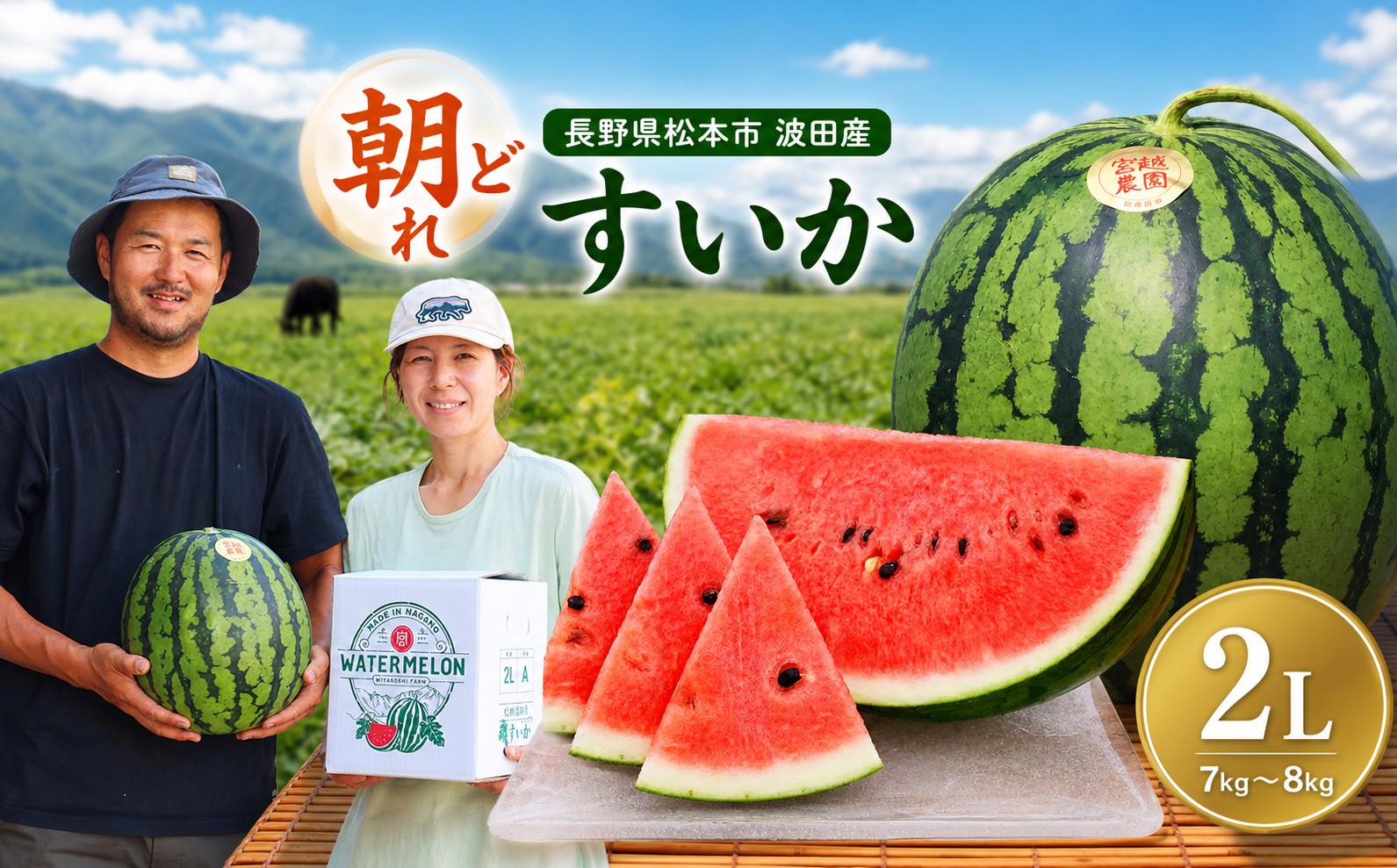 
            【先行受付】松本市　波田産　すいか　2L（7kg～8kg)│ 信州 松本市 長野県 西瓜 すいか 果物 スイカ フルーツ くだもの 新鮮 果汁 ジューシー 大きい ふるーつ
          