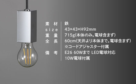CTSH LIGHT. ペンダントライト＜SQUARE クロム E26＞ 瑞浪市 / ジオニック 照明器具 ソケット 鉄 シルバー [AZBQ086]