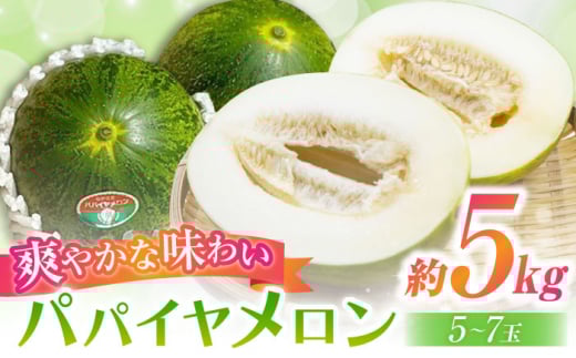 【2026年4月中旬〜発送】パパイヤメロン 約5kg（約5～7玉）/ メロン めろん パパイヤメロン 果物 フルーツ / 南島原市 / 長崎県農産品流通合同会社 [SCB086]
