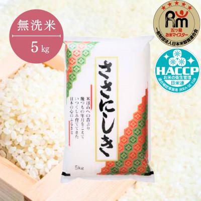 ふるさと納税 一関市 令和6年産 ササニシキ5kg【無洗米】 | 